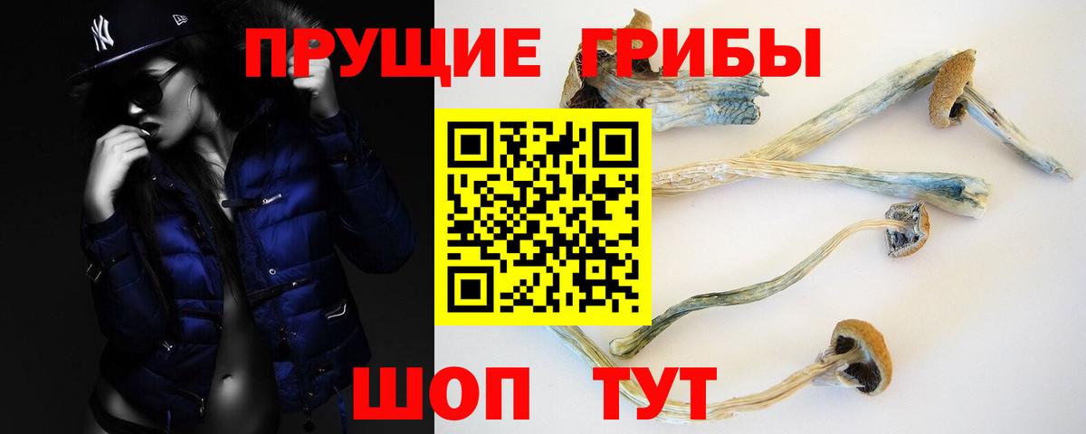 Псков  Галлюциногенные грибы GOLDEN TEACHER  Вход с VPN 